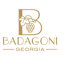 Badagoni